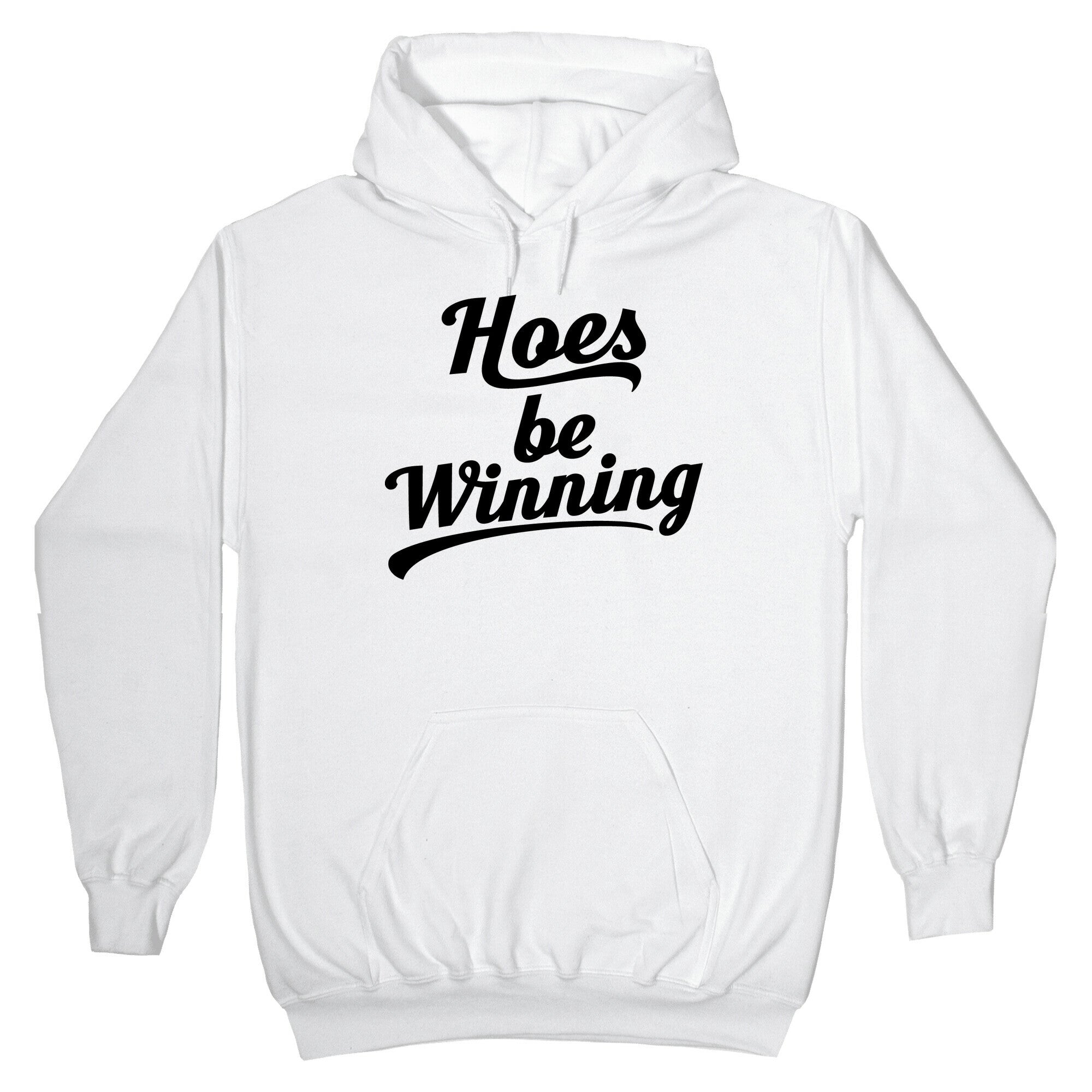 Hoes be Winning Hoodie